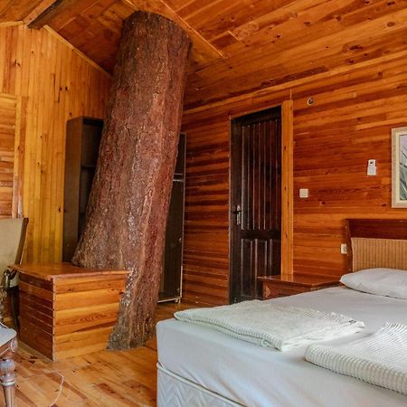 Kadir'S Top Tree Houses Олимпос Экстерьер фото