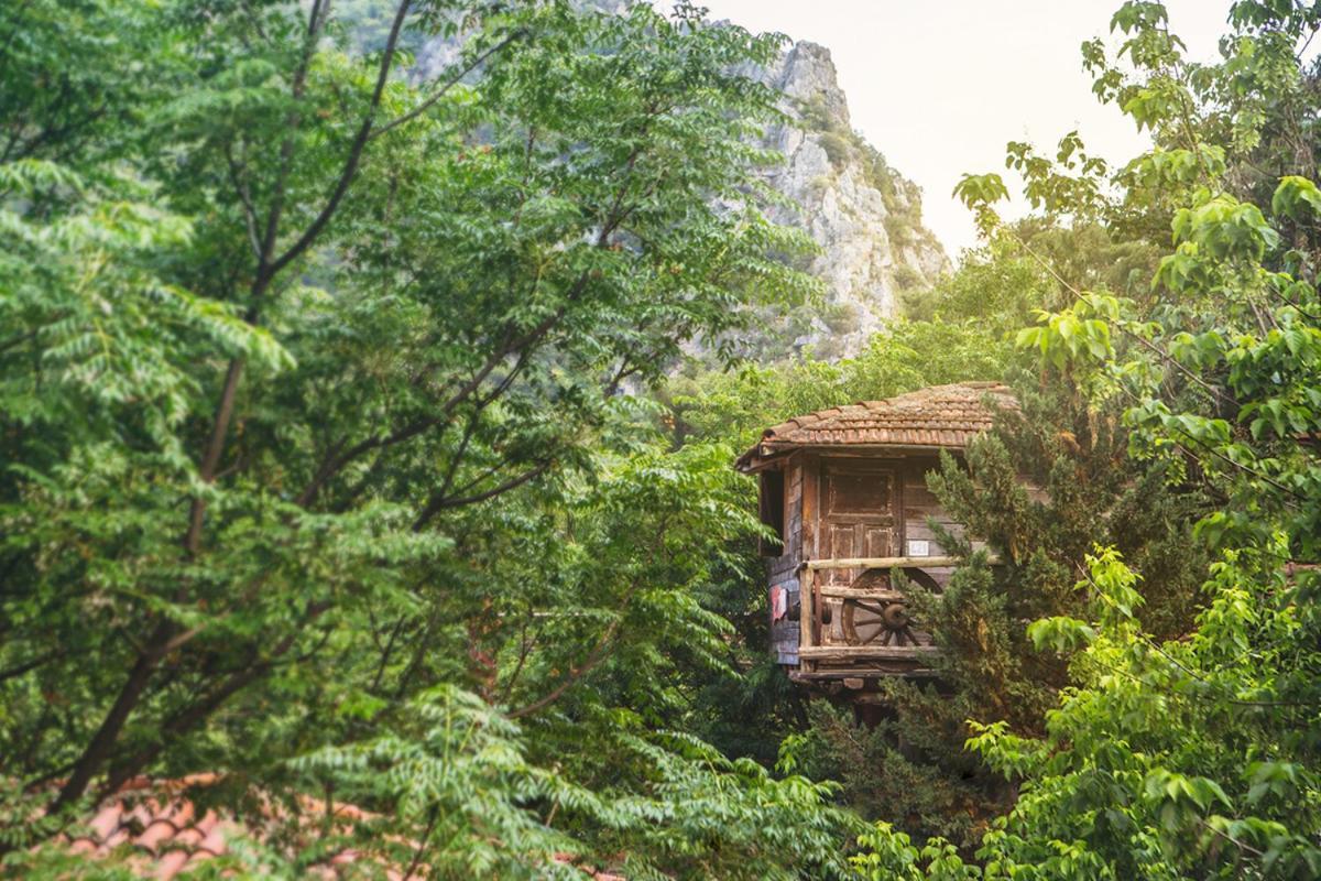 Kadir'S Top Tree Houses Олимпос Экстерьер фото