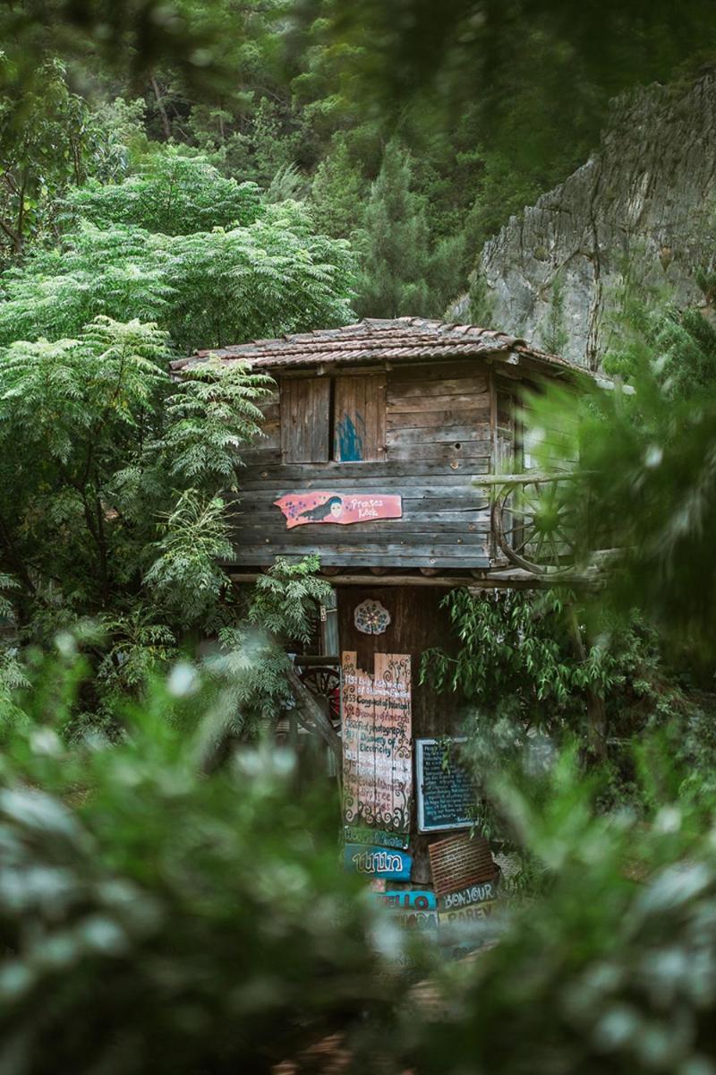 Kadir'S Top Tree Houses Олимпос Экстерьер фото