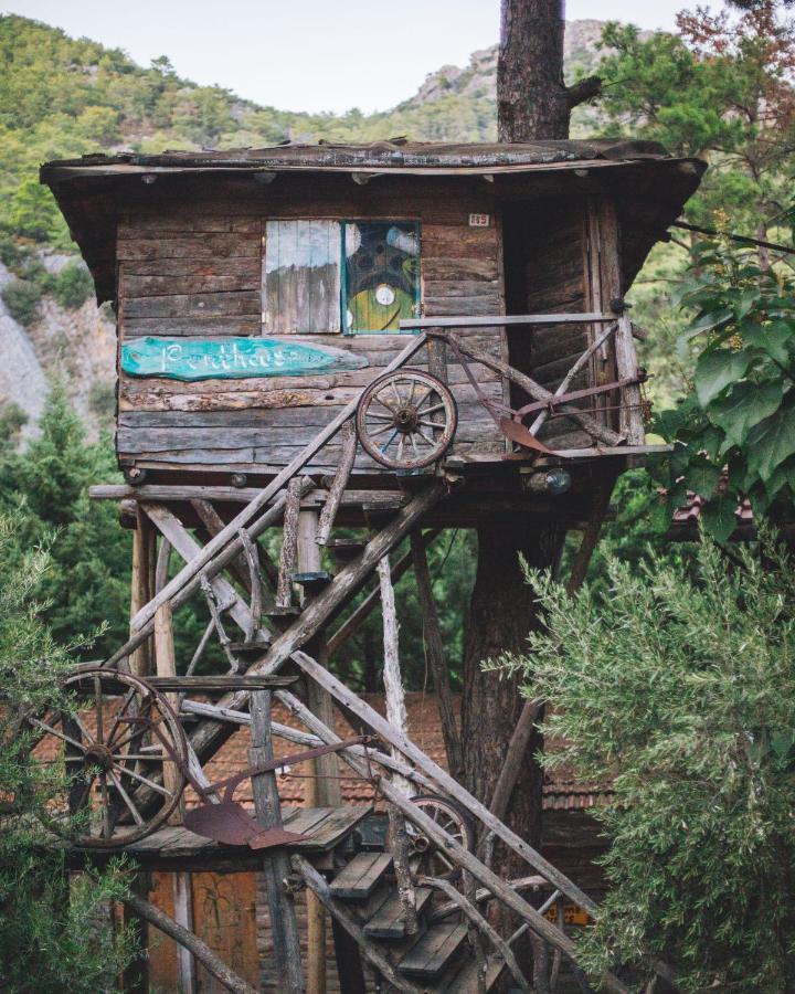 Kadir'S Top Tree Houses Олимпос Экстерьер фото