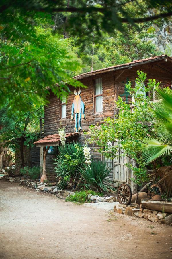 Kadir'S Top Tree Houses Олимпос Экстерьер фото