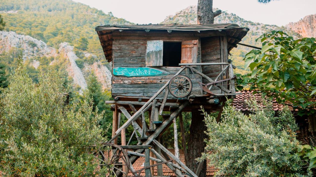 Kadir'S Top Tree Houses Олимпос Экстерьер фото